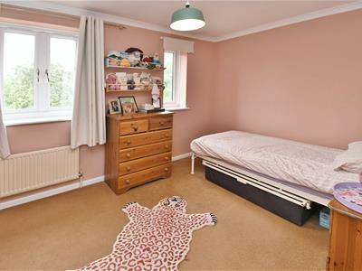 Picture 5